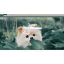 Cute Doggie  screen for extension Chrome web store in OffiDocs Chromium