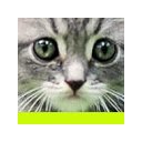 Cute Kitty  Dog  screen for extension Chrome web store in OffiDocs Chromium