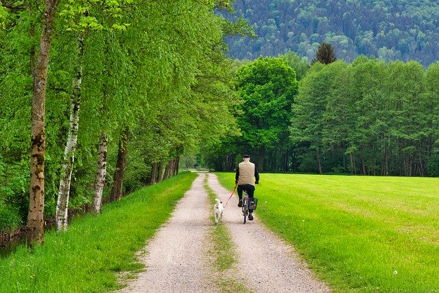 Descargue gratis el camino del ciclista para andar en bicicleta. Imagen gratuita de la naturaleza para editar con el editor de imágenes en línea gratuito GIMP.