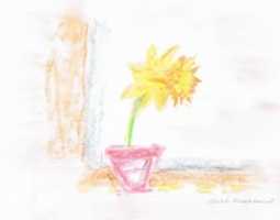 무료 다운로드 daffodil_drawing_charlote_greenwood 무료 사진 또는 김프 온라인 이미지 편집기로 편집할 사진