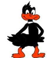 Free download Daffy Duck free photo or picture to be edited with GIMP online image editor