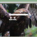 Dai bang  screen for extension Chrome web store in OffiDocs Chromium
