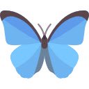 Daily Butterflies  screen for extension Chrome web store in OffiDocs Chromium