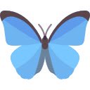 Daily Butterflies New Tab  screen for extension Chrome web store in OffiDocs Chromium