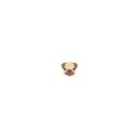 DailyPug chrome extension  screen for extension Chrome web store in OffiDocs Chromium