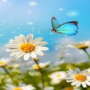 Daisies and butterflies wallpaper  screen for extension Chrome web store in OffiDocs Chromium