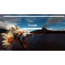 Daisy Perspective  screen for extension Chrome web store in OffiDocs Chromium