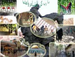Free download Damascus free photo or picture to be edited with GIMP online image editor