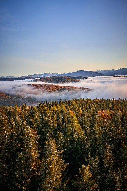 Free download dambergwarte fog foggy foggy forest free picture to be edited with GIMP free online image editor