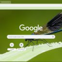 Damselfly  screen for extension Chrome web store in OffiDocs Chromium