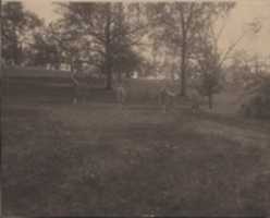 Скачать бесплатно Dancers in the Dell, недатированную бесплатную фотографию или картинку для редактирования с помощью онлайн-редактора изображений GIMP