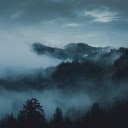 Dark Moody Forest  screen for extension Chrome web store in OffiDocs Chromium