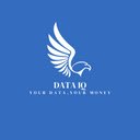 Data IQ MVP  screen for extension Chrome web store in OffiDocs Chromium