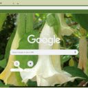 Datura  screen for extension Chrome web store in OffiDocs Chromium