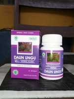 Free download Daun Ungu Hiu free photo or picture to be edited with GIMP online image editor