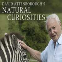 Free download david-attenboroughs-natural-curiosities free photo or picture to be edited with GIMP online image editor