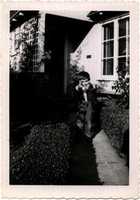 Free download David in the front yard stick em up free photo or picture to be edited with GIMP online image editor