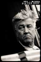 Free download David Lynch free photo or picture to be edited with GIMP online image editor
