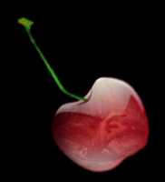 Free download Davinci Cherry free photo or picture to be edited with GIMP online image editor
