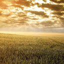 Dawn in the fields  screen for extension Chrome web store in OffiDocs Chromium
