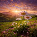 Dawn on the steppe Wallpaper  screen for extension Chrome web store in OffiDocs Chromium