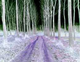 Free download Day Dream Three 2 free photo or picture to be edited with GIMP online image editor