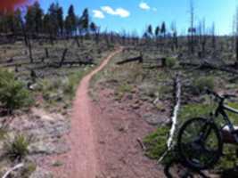 Free download DBiking HD free photo or picture to be edited with GIMP online image editor