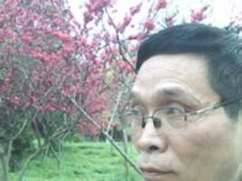 Free download DC 100411053021 free photo or picture to be edited with GIMP online image editor