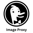 DDG Image Proxy Redirect  screen for extension Chrome web store in OffiDocs Chromium