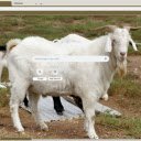 De  screen for extension Chrome web store in OffiDocs Chromium