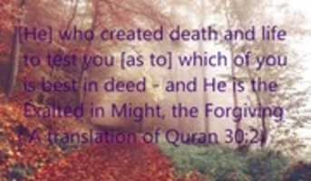 Free download Death And Life free photo or picture to be edited with GIMP online image editor