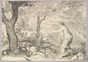 Free download Death of Adonis free photo or picture to be edited with GIMP online image editor