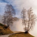 Deciduous trees and fog  screen for extension Chrome web store in OffiDocs Chromium