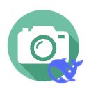 DeepSnap  screen for extension Chrome web store in OffiDocs Chromium