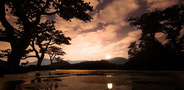 Free download deer lake sunset landscape water free picture to be edited with GIMP free online image editor