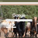 De hoang  screen for extension Chrome web store in OffiDocs Chromium