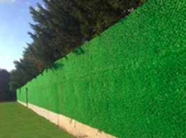 Free download dekoratif-cit free photo or picture to be edited with GIMP online image editor