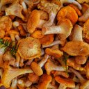 Delicious fresh mushroom meal  screen for extension Chrome web store in OffiDocs Chromium