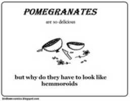 Free download delicious+pomegranates free photo or picture to be edited with GIMP online image editor
