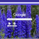 Delphinium  screen for extension Chrome web store in OffiDocs Chromium