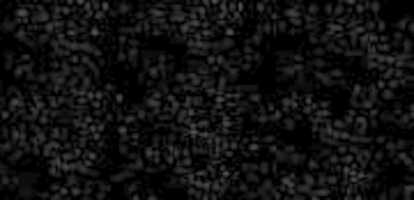 Free download deP1 free photo or picture to be edited with GIMP online image editor