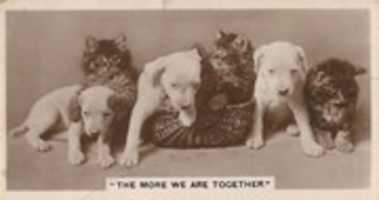 Free download De Reszke and Miscellaneous Trading Cards, 1920 free photo or picture to be edited with GIMP online image editor