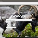 De rung  screen for extension Chrome web store in OffiDocs Chromium