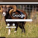 De rung chau Au  screen for extension Chrome web store in OffiDocs Chromium