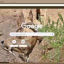 De rung nau  screen for extension Chrome web store in OffiDocs Chromium