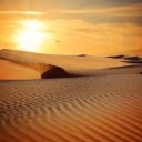 Desert  screen for extension Chrome web store in OffiDocs Chromium