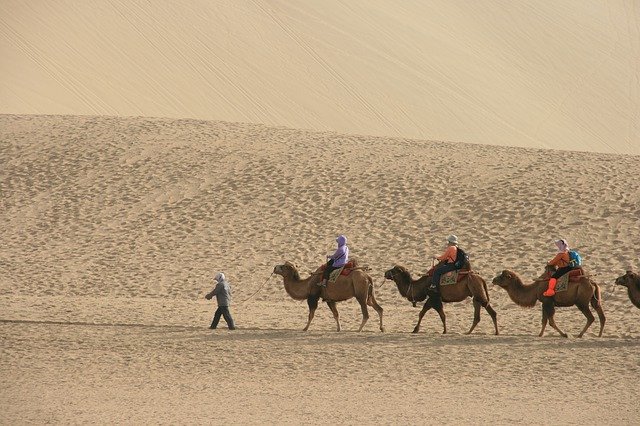 Téléchargement gratuit Desert Camel - photo ou image gratuite à éditer avec l'éditeur d'images en ligne GIMP