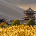 Desert Pagoda  screen for extension Chrome web store in OffiDocs Chromium