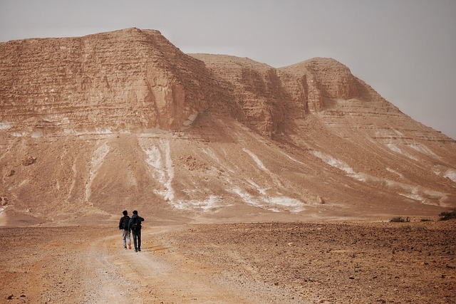 जीआईएमपी मुफ्त ऑनलाइन छवि संपादक के साथ संपादित करने के लिए पैरान मुक्त तस्वीर के रेगिस्तान बलुआ पत्थर के रेगिस्तान को मुफ्त डाउनलोड करें