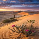 Desert wallpaper  screen for extension Chrome web store in OffiDocs Chromium